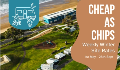 TGP TILES 500 x 300 px