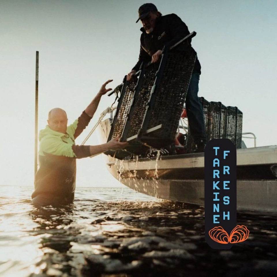 Tarkine Fresh Oysters 4