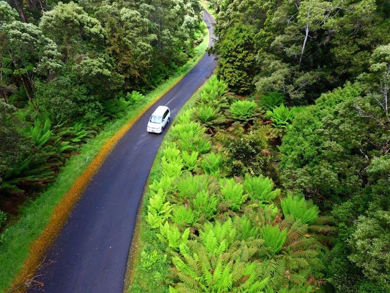 Tarkine Drive Tourism Tasmania
