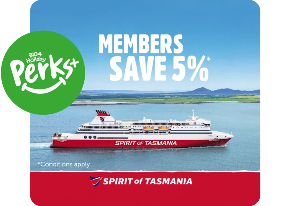 Spirit of Tas Perks