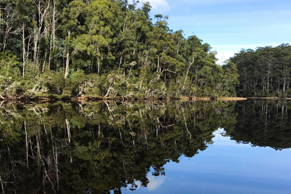Leven River Cruises